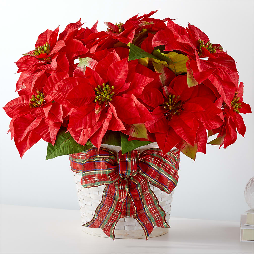 Happiest Holidays Poinsettia – Gilberts Flowers, Fenwick ON