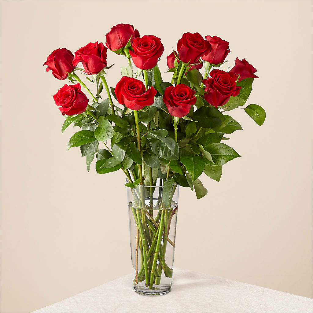 Long Stem Red Rose Bouquet – Gilberts Flowers, Fenwick ON