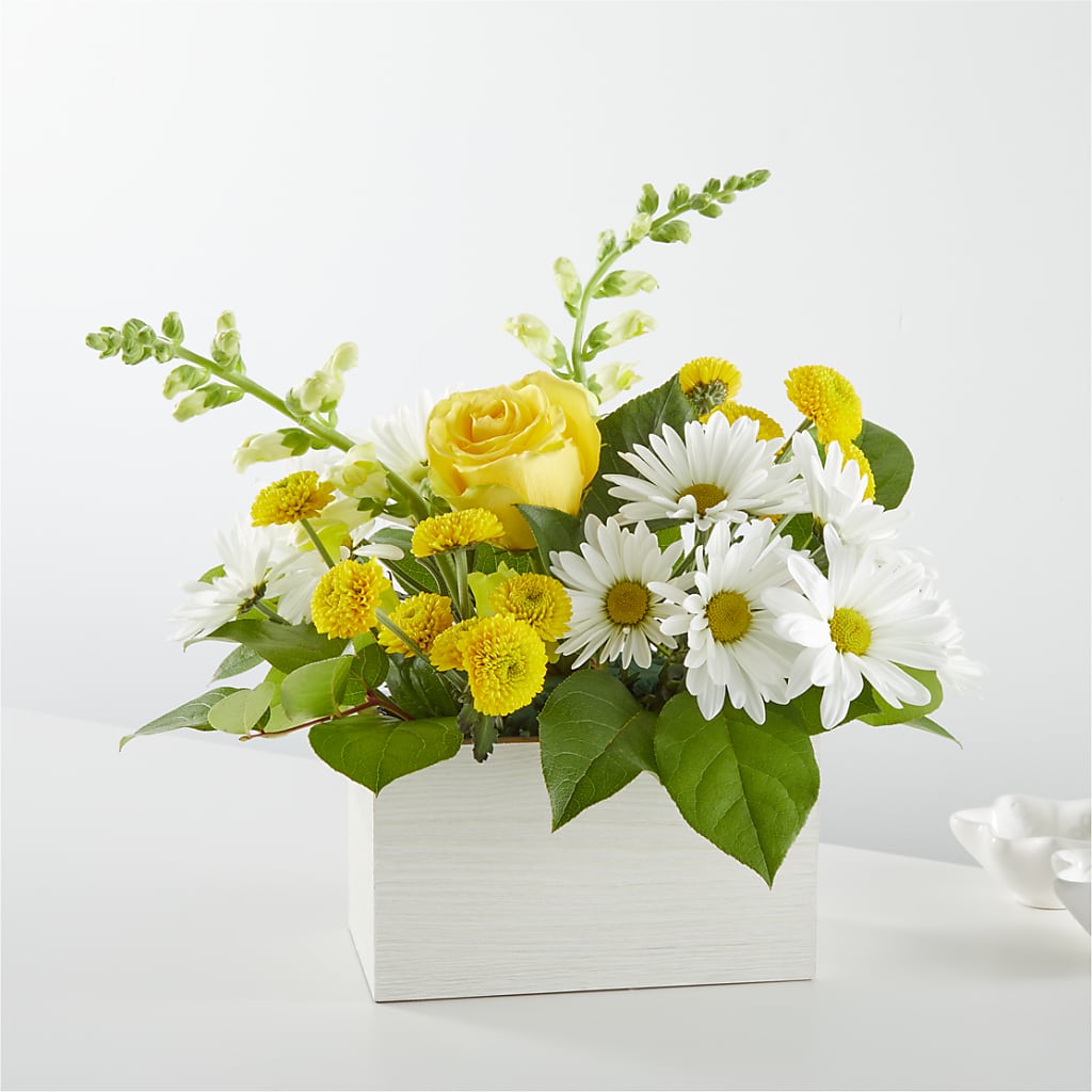 Sun Salutation Box Bouquet – Gilberts Flowers, Fenwick ON
