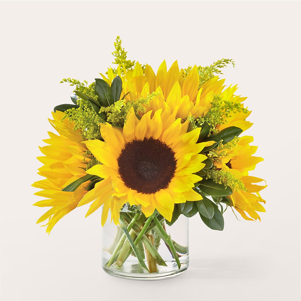 Beaming Sunflower Bouquet – Gilberts Flowers, Fenwick ON