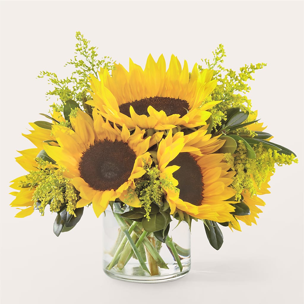 Beaming Sunflower Bouquet – Gilberts Flowers, Fenwick ON