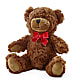 Adorable Plush Bear –  Gilberts Flowers, Fenwick ON