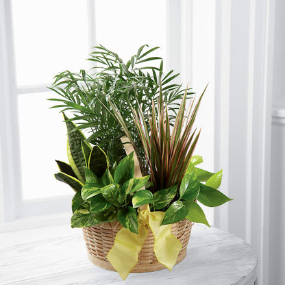 French Garden –  Gilberts Flowers, Fenwick ON