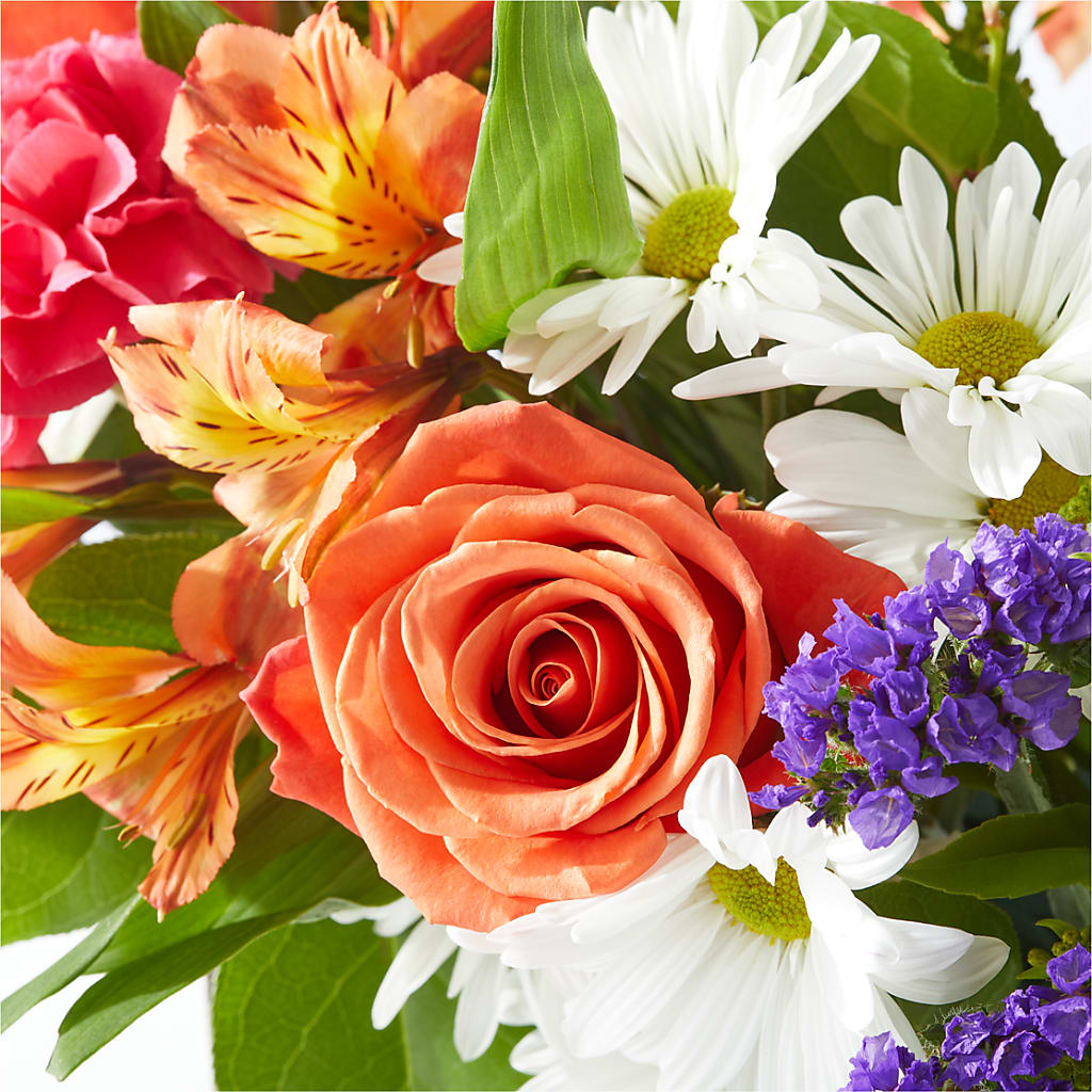 Oopsie Daisy Box Bouquet –  Gilberts Flowers, Fenwick ON