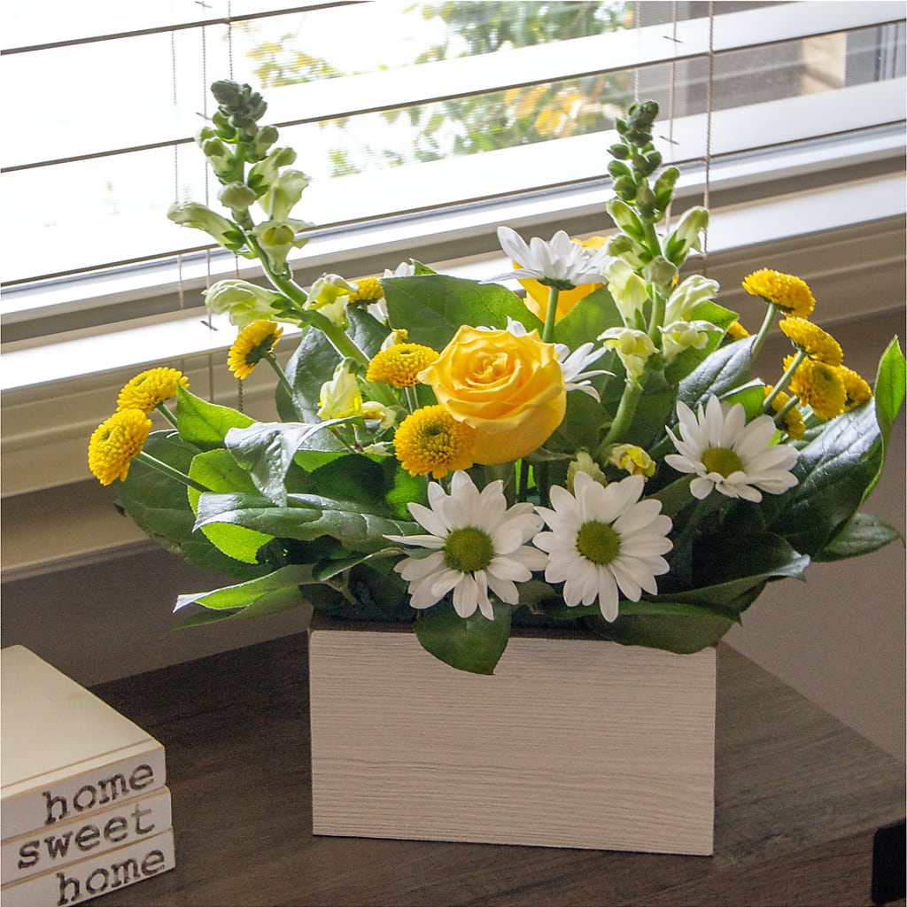 Sun Salutation Box Bouquet –  Gilberts Flowers, Fenwick ON