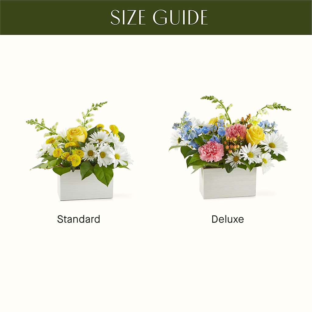 Sun Salutation Box Bouquet –  Gilberts Flowers, Fenwick ON