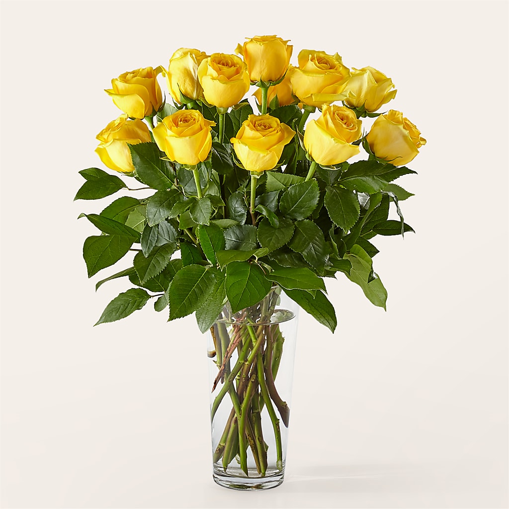 Long Stem Yellow Rose Bouquet –  Gilberts Flowers, Fenwick ON