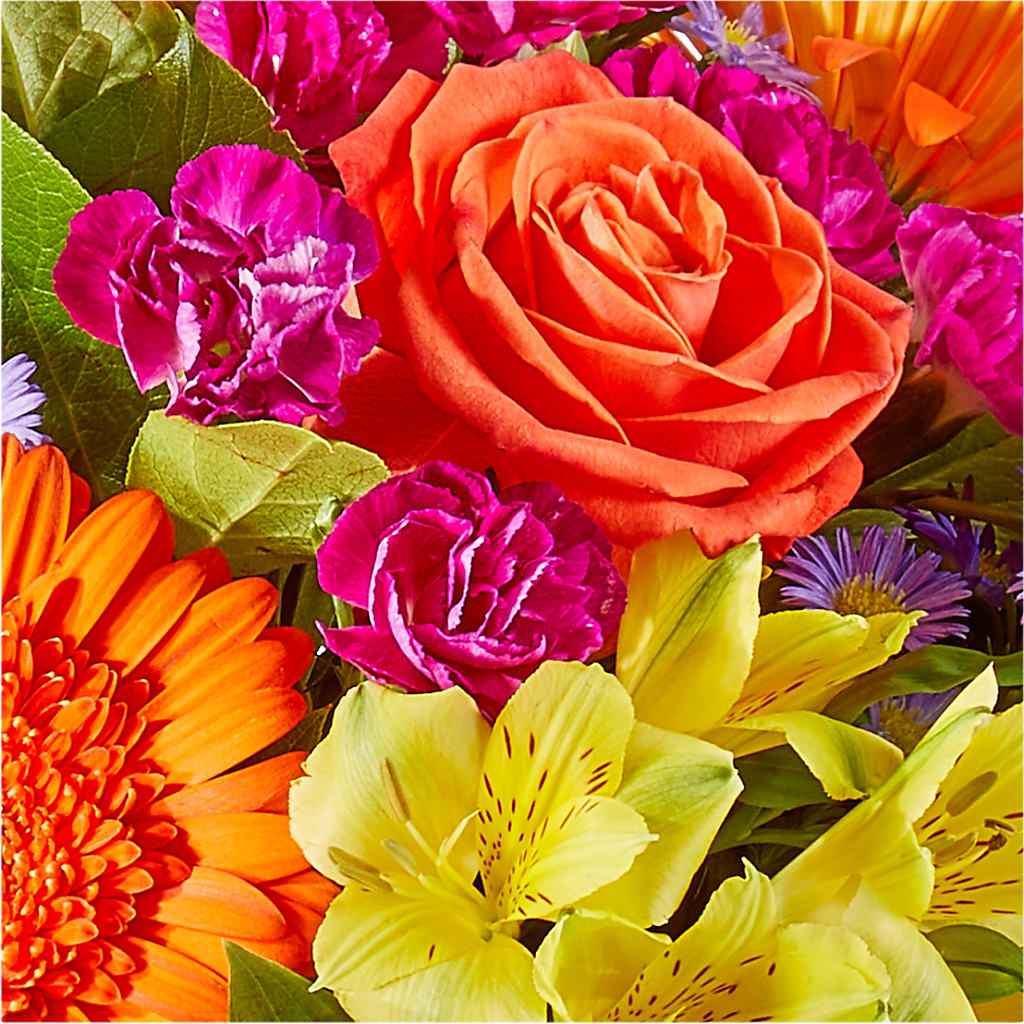 Tricks & Treats Pumpkin –  Gilberts Flowers, Fenwick ON