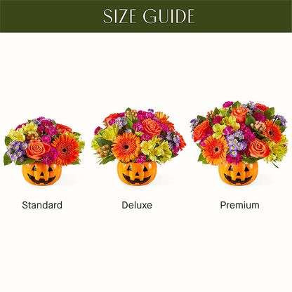 Tricks & Treats Pumpkin –  Gilberts Flowers, Fenwick ON