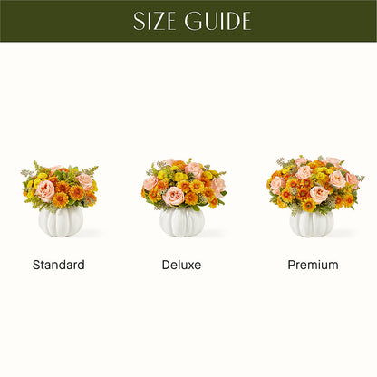 Peachy Pumpkin –  Gilberts Flowers, Fenwick ON