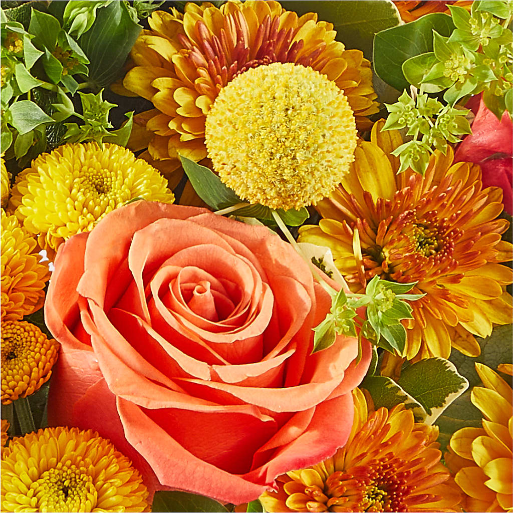 Gourdgeous Pumpkin –  Gilberts Flowers, Fenwick ON