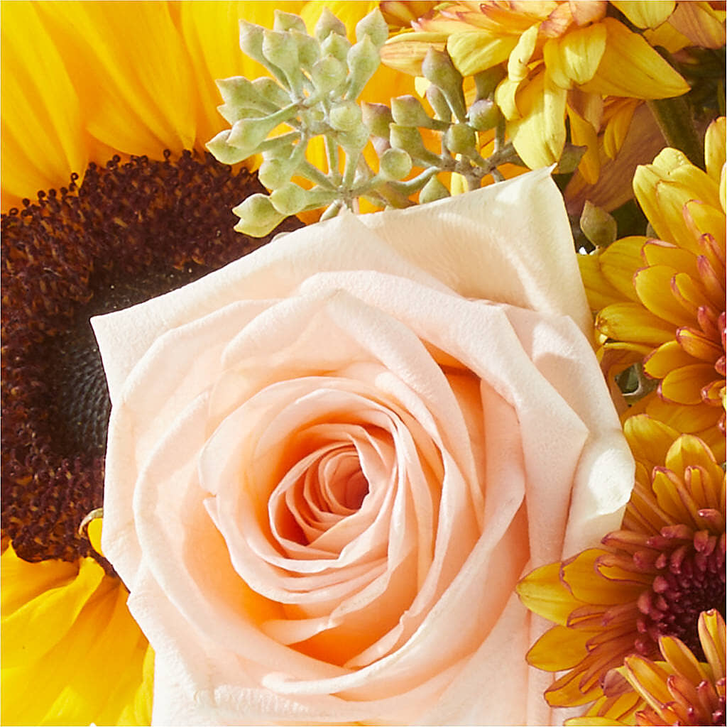 Pumpkin to Talk About Bouquet –  Gilberts Flowers, Fenwick ON