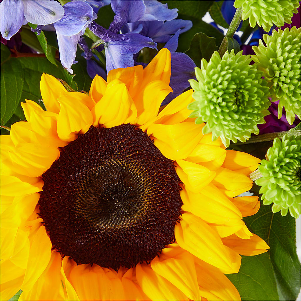 Catching Rays Bouquet –  Gilberts Flowers, Fenwick ON