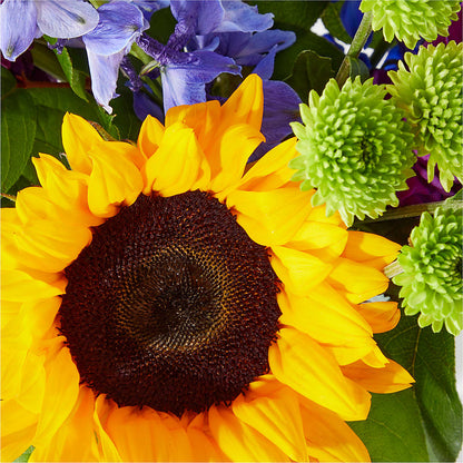 Catching Rays Bouquet –  Gilberts Flowers, Fenwick ON