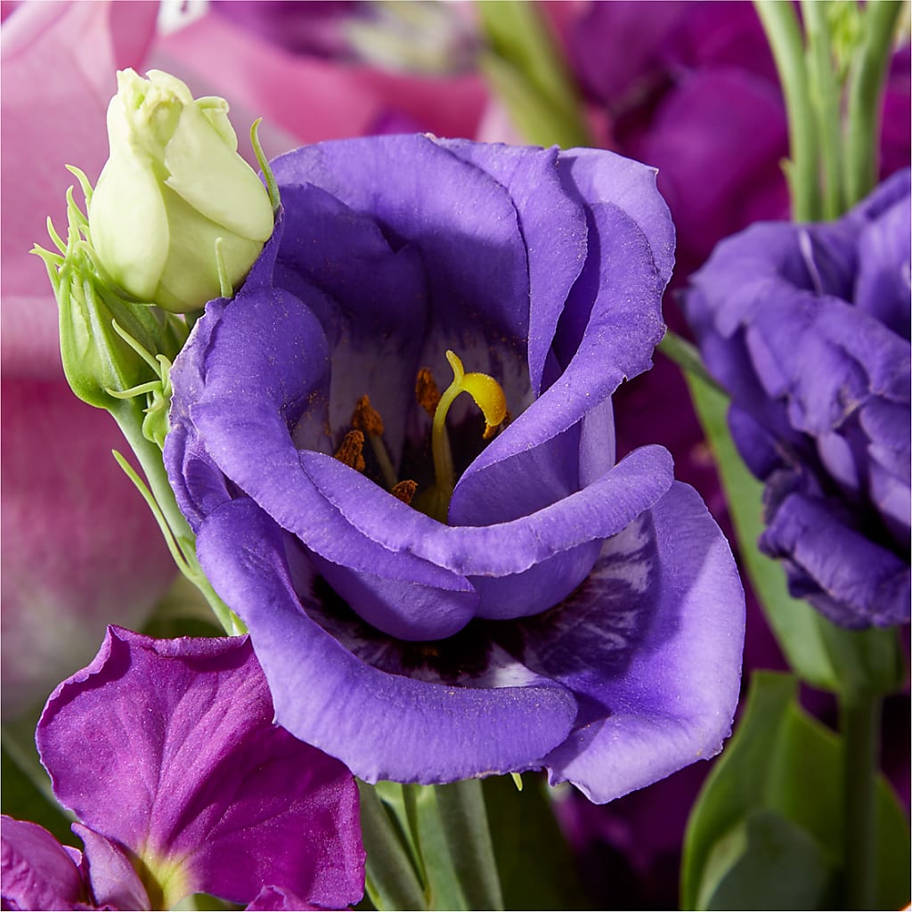 Twilight Glow Bouquet –  Gilberts Flowers, Fenwick ON