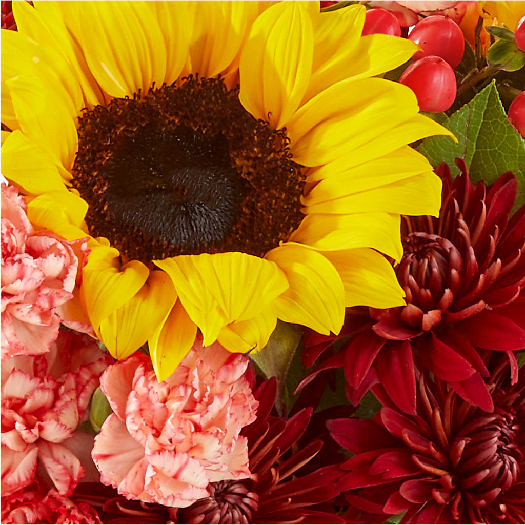 Fresh Cider Bouquet –  Gilberts Flowers, Fenwick ON