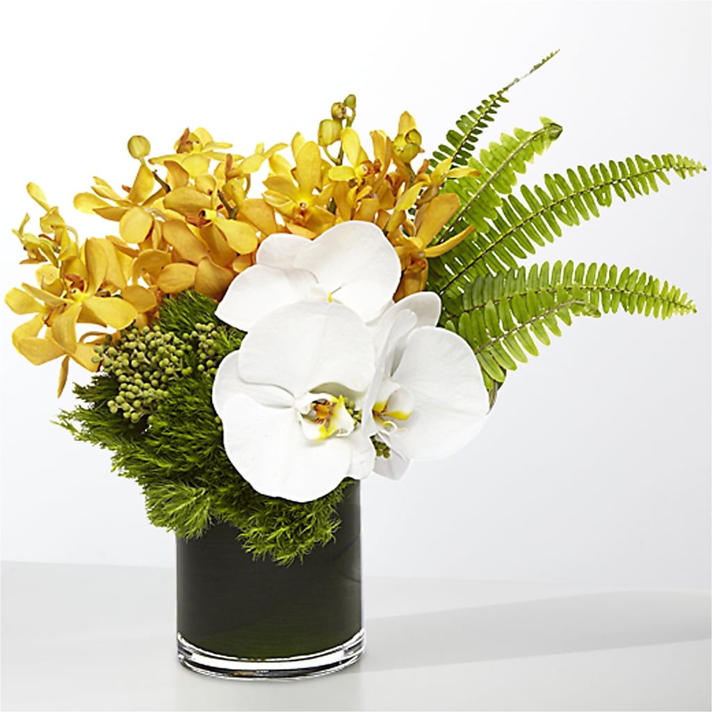 The Tropics –  Gilberts Flowers, Fenwick ON