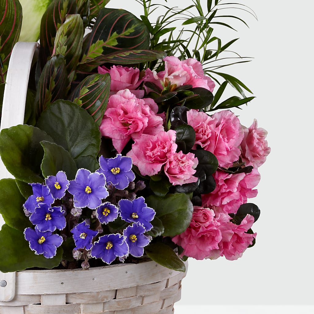 Peaceful Garden Planter –  Gilberts Flowers, Fenwick ON