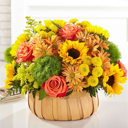 Harvest Sunflower Basket –  Gilberts Flowers, Fenwick ON
