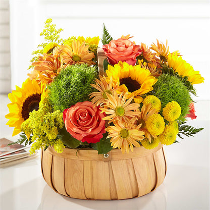 Harvest Sunflower Basket –  Gilberts Flowers, Fenwick ON