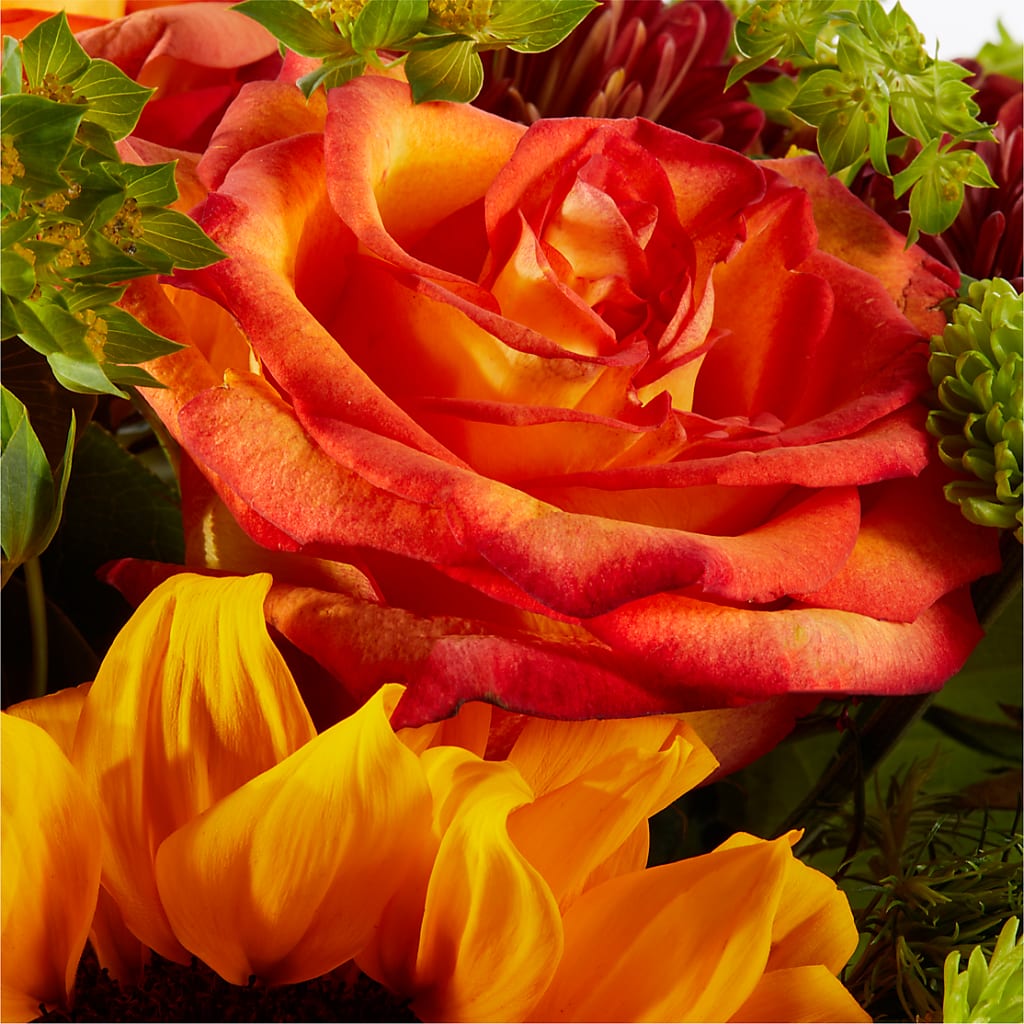 Harvest Festival Bouquet –  Gilberts Flowers, Fenwick ON