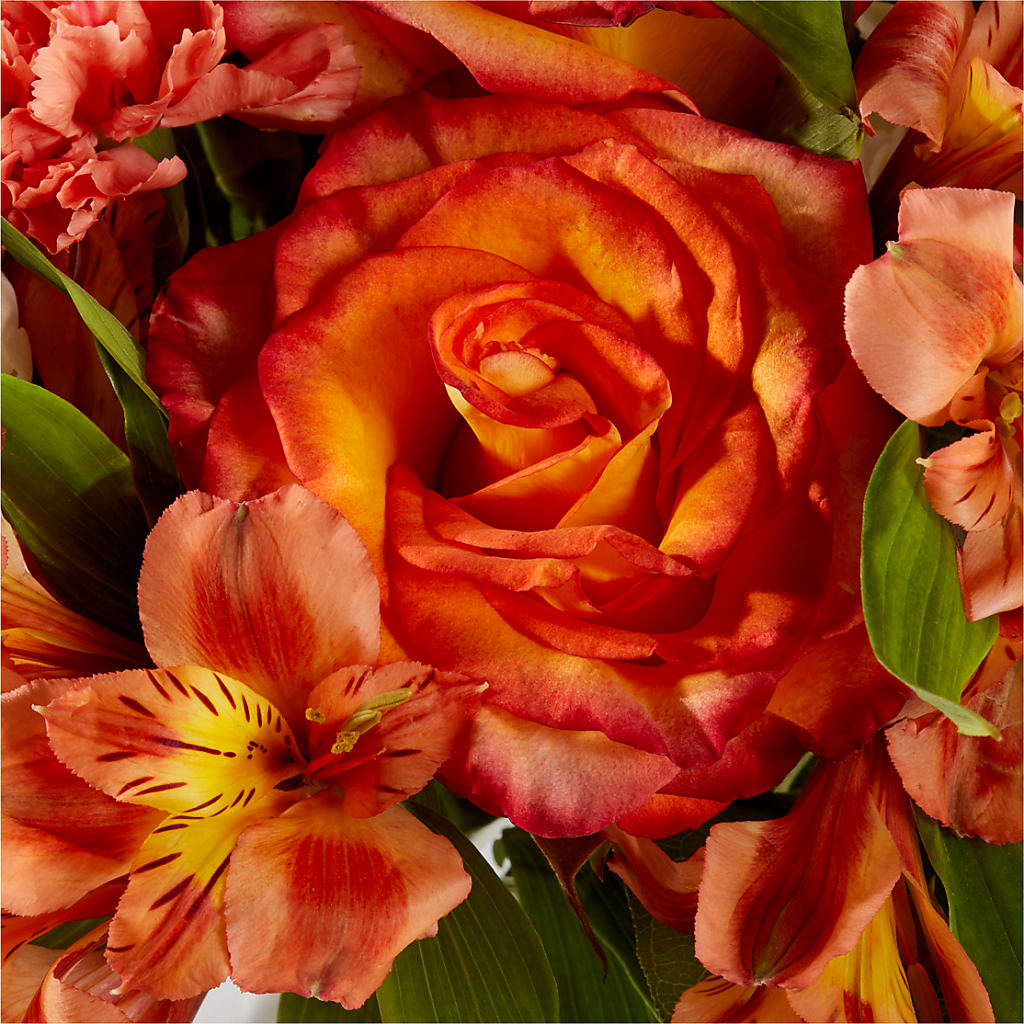 Apricot Glow Bouquet –  Gilberts Flowers, Fenwick ON