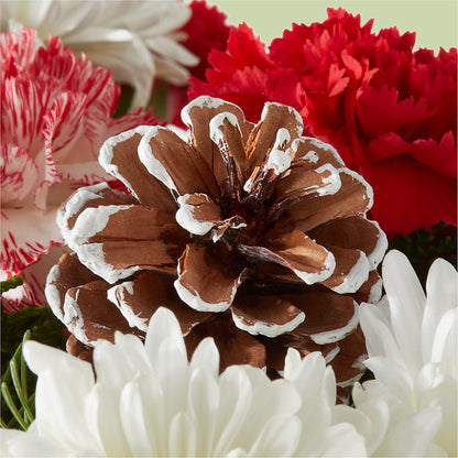 Candy Cane Lane Bouquet –  Gilberts Flowers, Fenwick ON