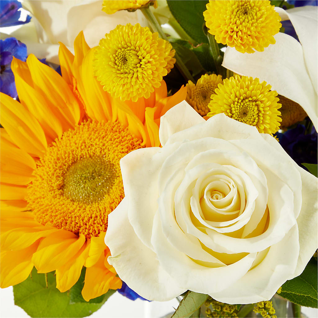 Stargazing Bouquet –  Gilberts Flowers, Fenwick ON