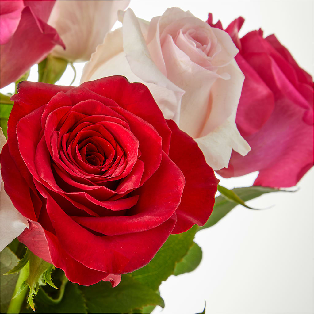 Charming Rose Bouquet –  Gilberts Flowers, Fenwick ON