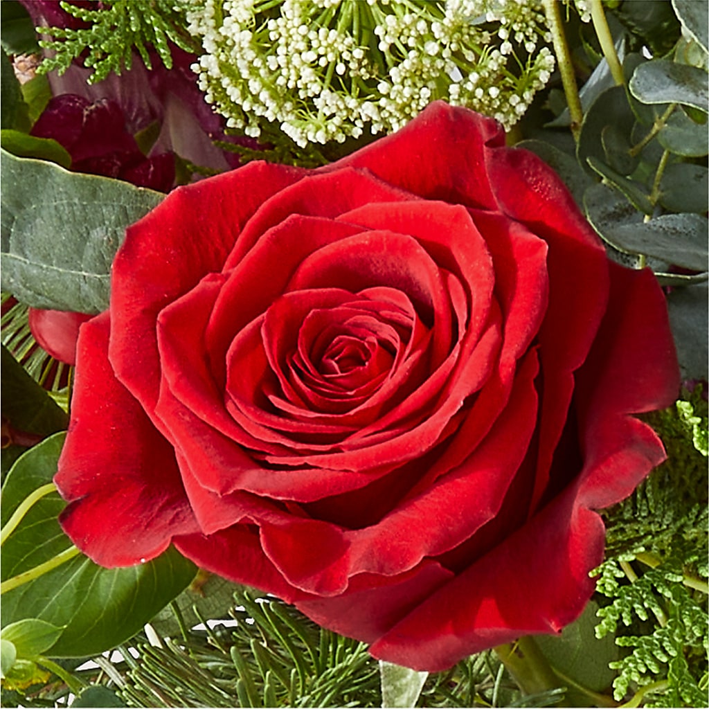 Cranberry Fizz Bouquet –  Gilberts Flowers, Fenwick ON