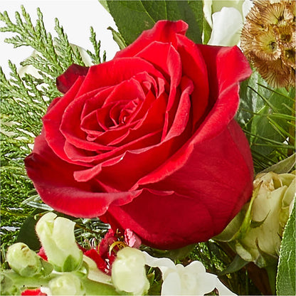 Deck the Halls Bouquet –  Gilberts Flowers, Fenwick ON