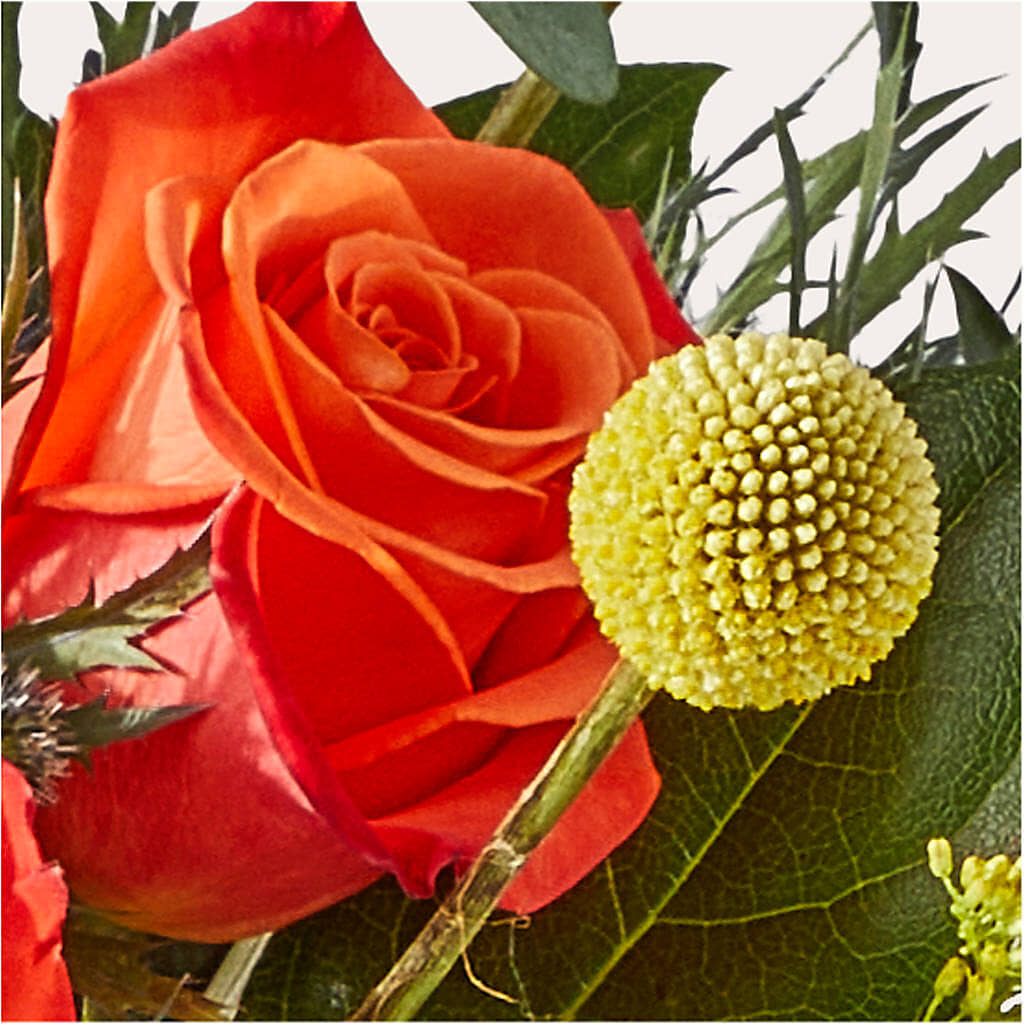 Disco Bouquet –  Gilberts Flowers, Fenwick ON