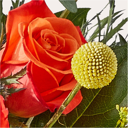 Disco Bouquet –  Gilberts Flowers, Fenwick ON