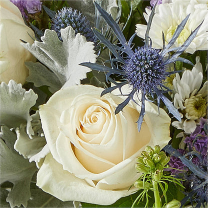 Shooting Star Bouquet –  Gilberts Flowers, Fenwick ON