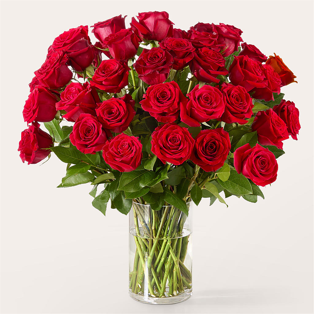 The One Red Rose Bouquet –  Gilberts Flowers, Fenwick ON