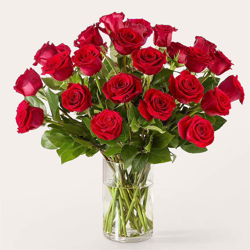 The One Red Rose Bouquet –  Gilberts Flowers, Fenwick ON