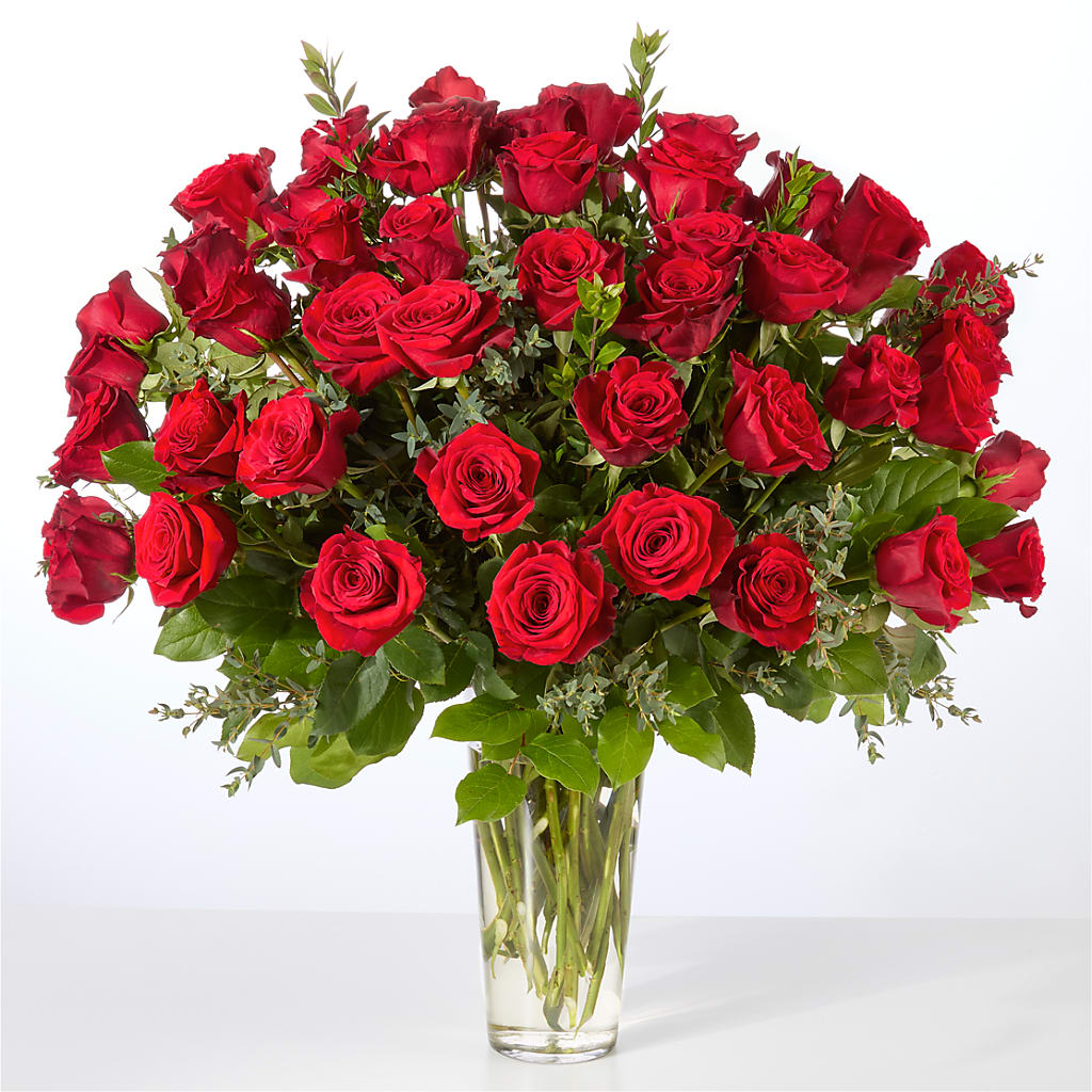 Forever Yours Fifty Stem Red Rose Bouquet –  Gilberts Flowers, Fenwick ON